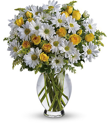 Teleflora's Amazing Daisy